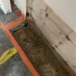 25.09.25-11-HKram-7631617