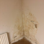 15.10.25-8-BWall-8114539