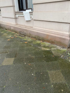 08.12.25-15-AMaus-8018881